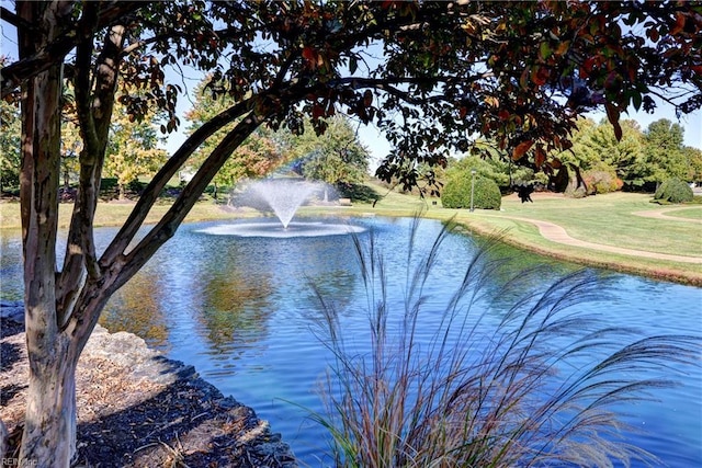 property view of water
