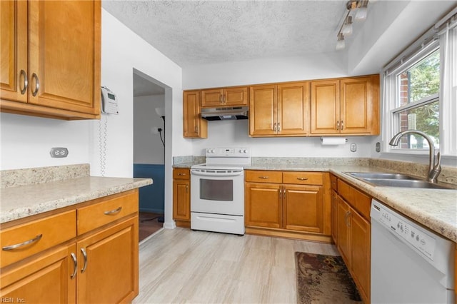 kitchen featuring a sink, under cabinet range hood, brown cabinets, and white appliances