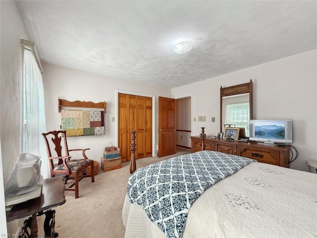 bedroom featuring carpet