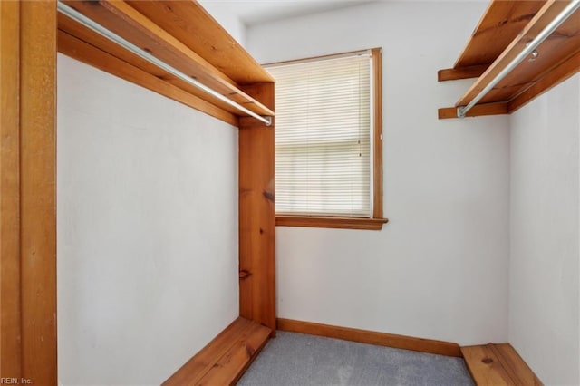spacious closet featuring carpet