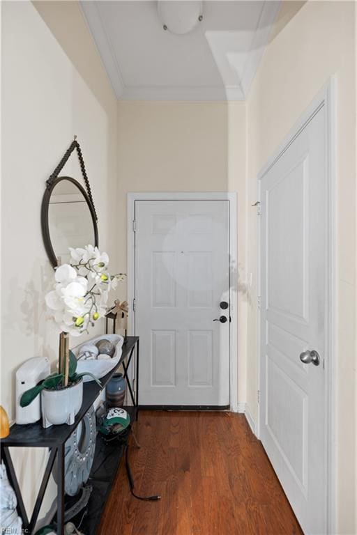 1400 Granby St Unit 117, Norfolk, VA 23510 - doorway to outside with crown molding and dark wood-type flooring
