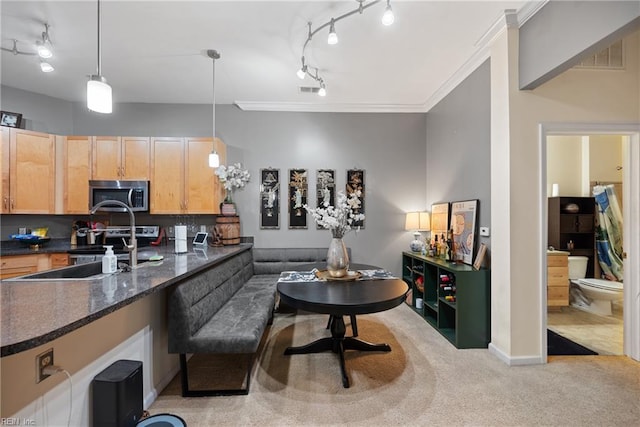 1400 Granby St Unit 117, Norfolk, VA 23510 - kitchen with crown molding, light brown cabinetry, light carpet, rail lighting, and appliances with stainless steel finishes