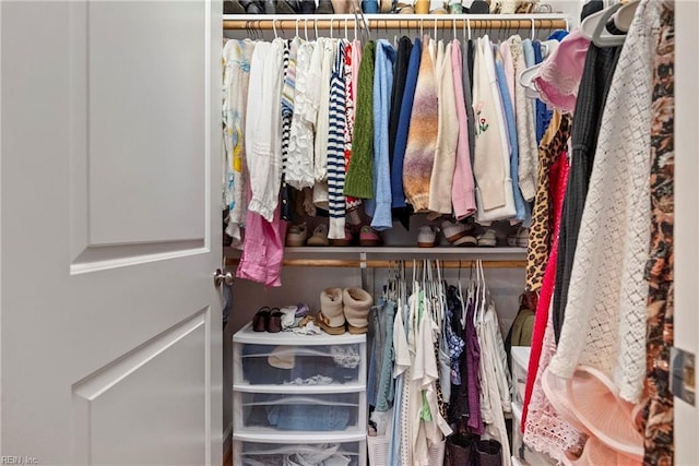 view of closet
