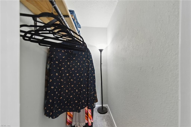 spacious closet featuring carpet floors