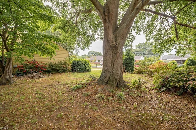 1628 Red Brook Ct, Norfolk, VA 23518 - view of yard