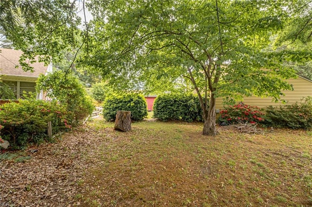 view of yard