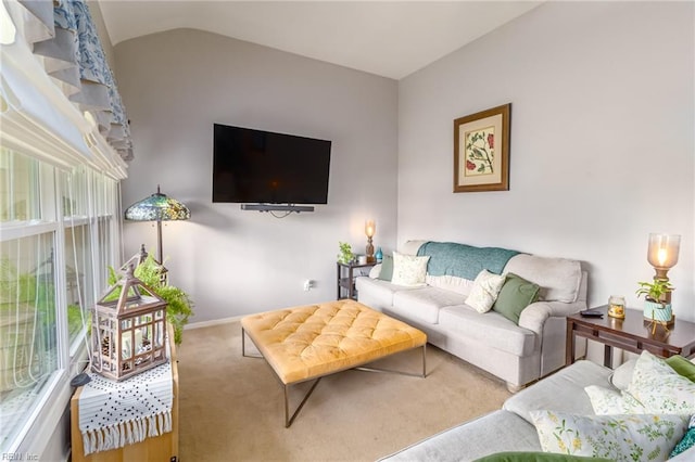 1628 Red Brook Ct, Norfolk, VA 23518 - living area with carpet floors, vaulted ceiling, and baseboards