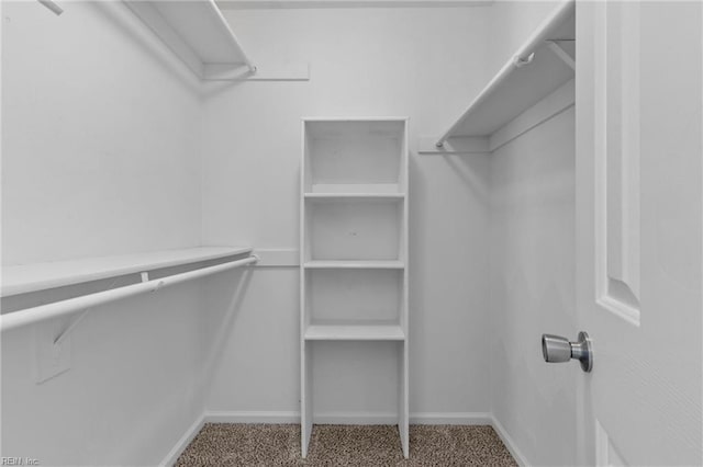 159 Stoney Ridge Ave, Suffolk, VA 23435 - walk in closet with carpet floors