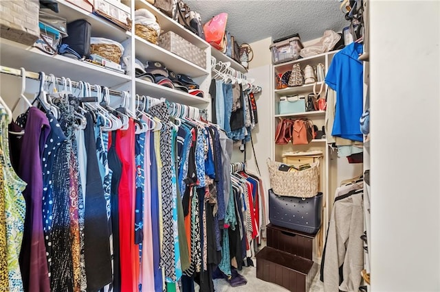 spacious closet with carpet