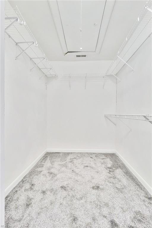 913 Garfield Ave, Suffolk, VA 23434 - walk in closet with carpet floors, attic access, and visible vents