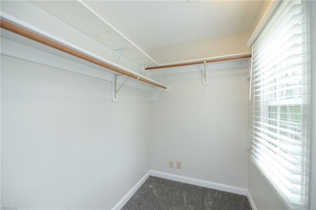 spacious closet with dark colored carpet