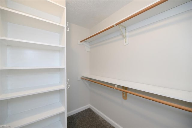 walk in closet featuring dark colored carpet