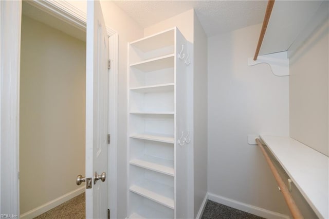 walk in closet with carpet floors