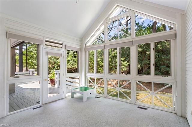 200 Moodys Run, Williamsburg, VA 23185 - unfurnished sunroom with lofted ceiling and healthy amount of natural light