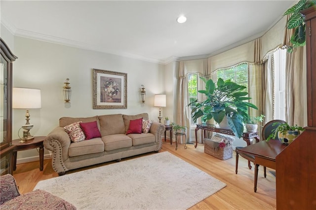 living area featuring ornamental molding and light wood-type flooring