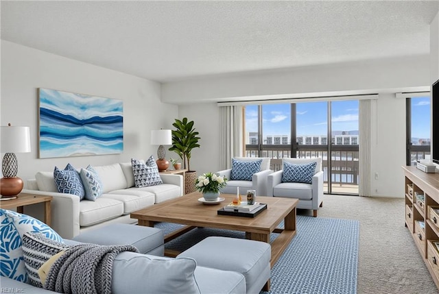 2830 Shore Dr Unit 900, Virginia Beach, VA 23451 - carpeted living area with a healthy amount of sunlight and a water view
