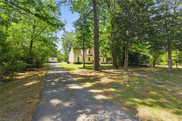 view of street with driveway