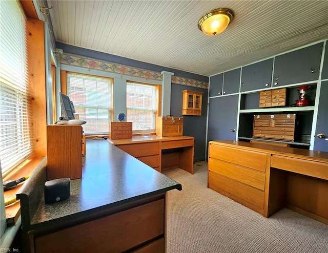 office area featuring light carpet
