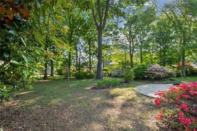 view of yard with a patio area