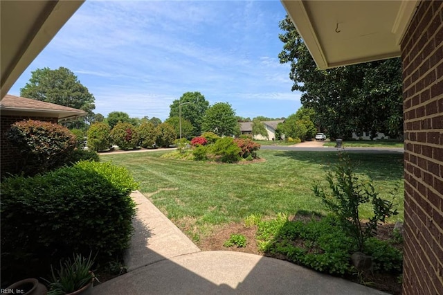 view of yard