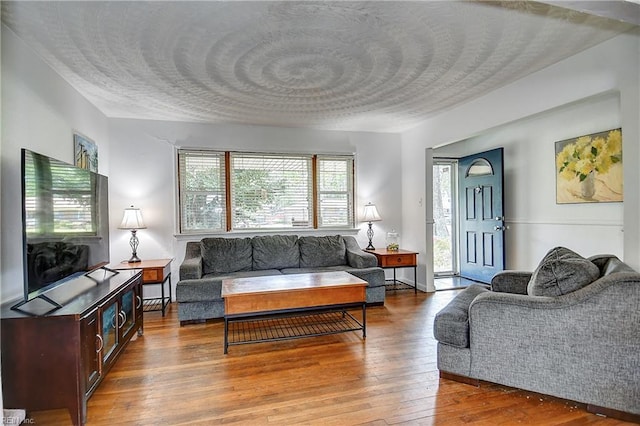 living room with a textured ceiling and hardwood / wood-style floors