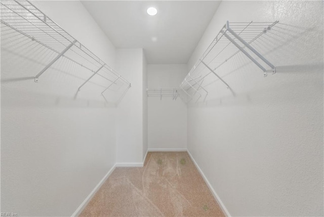walk in closet featuring light carpet
