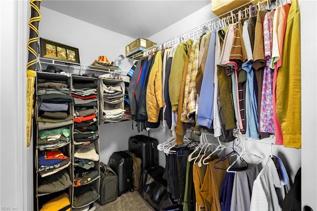 walk in closet with carpet floors