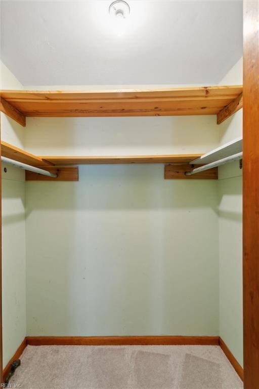 1365 Old Buckroe Rd, Hampton, VA 23663 - spacious closet with light carpet