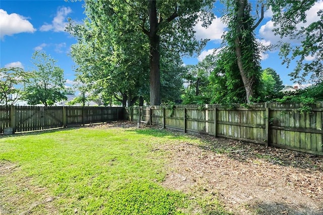 2100 Ruth St, Chesapeake, VA 23324 - view of yard