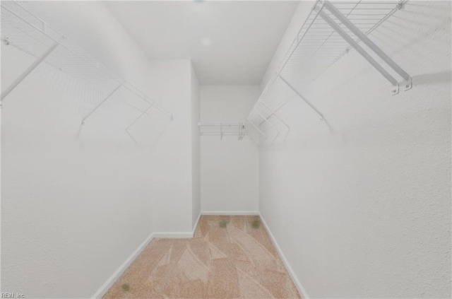 walk in closet featuring light carpet