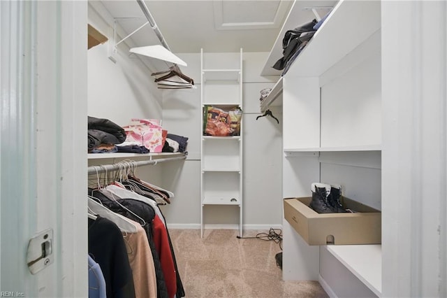 spacious closet with carpet flooring