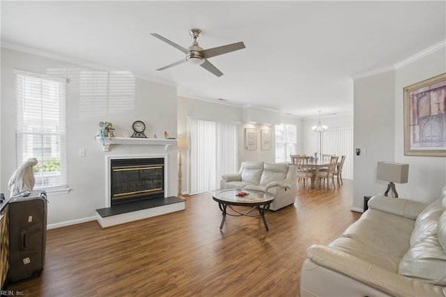 living area with a glass covered fireplace, ornamental molding, wood finished floors, and ceiling fan with notable chandelier