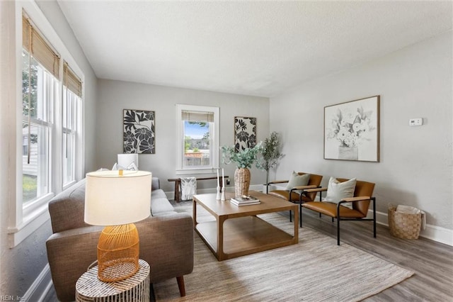1312 E Norcova Dr, Norfolk, VA 23502 - living area featuring plenty of natural light, a textured ceiling, baseboards, and wood finished floors