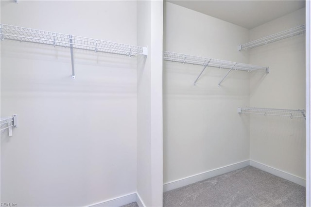 spacious closet featuring carpet flooring