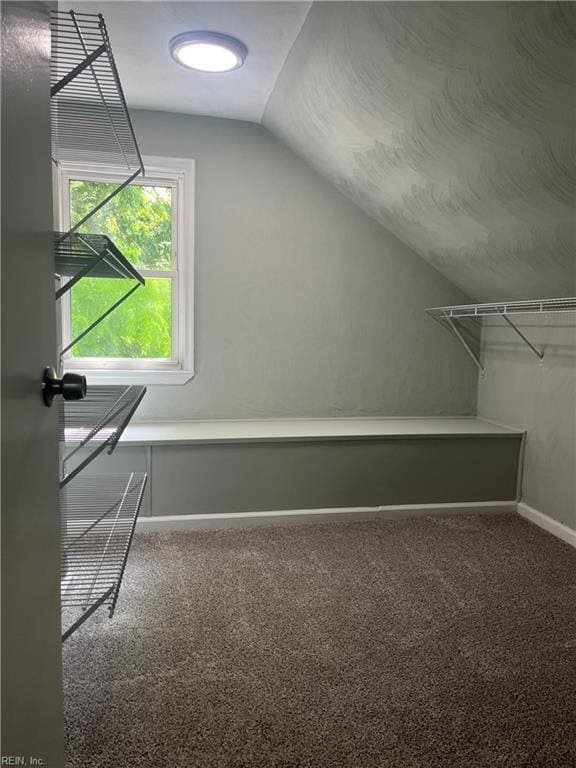 2622 Harrell Ave, Norfolk, VA 23509 - spacious closet with lofted ceiling and carpet floors