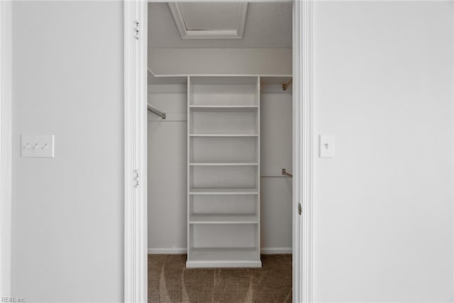 2513 Covent Garden Rd, Virginia Beach, VA 23456 - spacious closet featuring carpet floors
