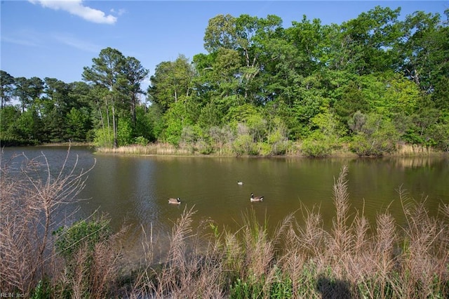 water view with a view of trees