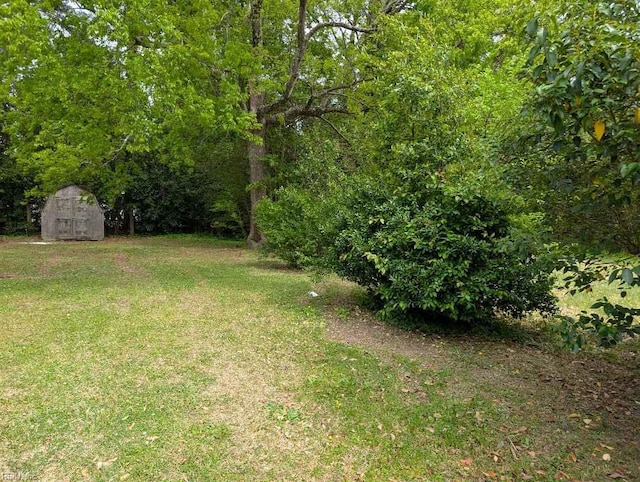 view of yard with an outdoor structure and a storage shed