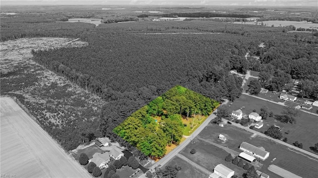 bird's eye view with a wooded view
