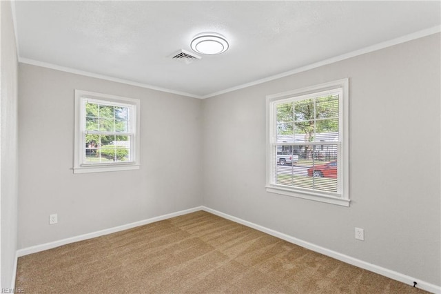 unfurnished room featuring ornamental molding, carpet, and a wealth of natural light