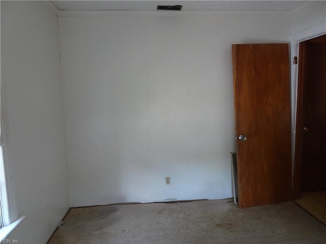 unfurnished room featuring crown molding and carpet flooring
