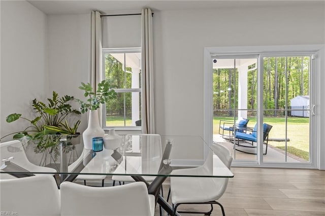 dining space featuring a healthy amount of sunlight and wood finished floors