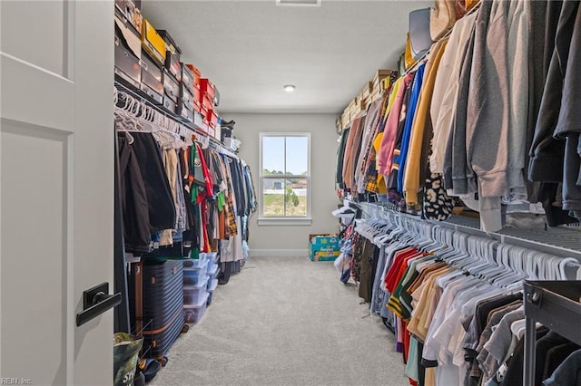 spacious closet featuring carpet floors