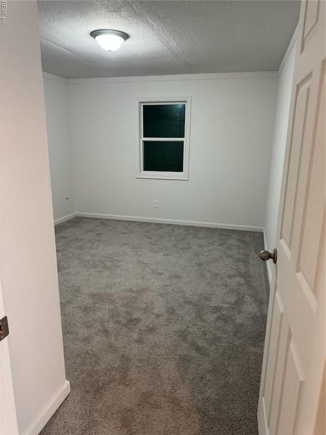 spare room with baseboards, carpet, and a textured ceiling