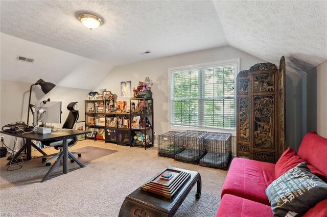 office space featuring a textured ceiling, lofted ceiling, and carpet floors