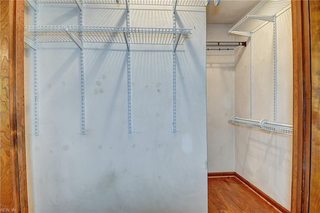 spacious closet featuring wood finished floors