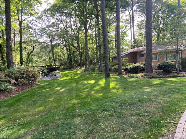 view of yard