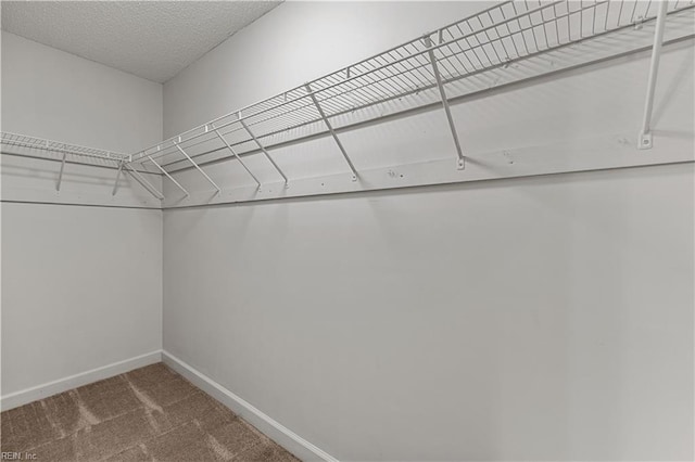390 Naval Base Rd, Norfolk, VA 23505 - walk in closet with carpet flooring