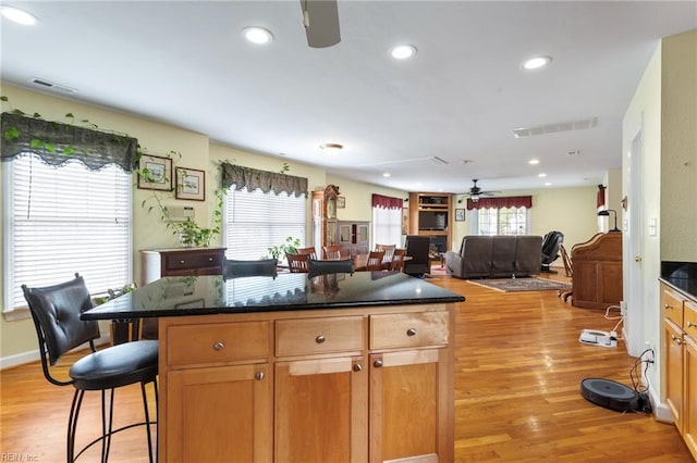 kitchen featuring light wood-type flooring, plenty of natural light, and ceiling fan