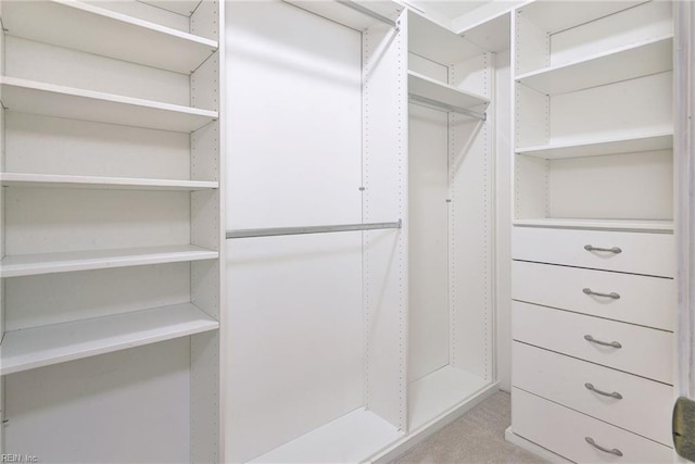 view of spacious closet